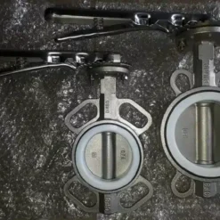 Van bướm tay gạt inox SamWoo(1)