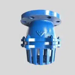 rọ bơm mặt bích samwoo