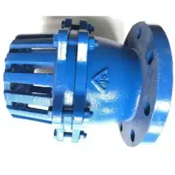 rọ bơm mặt bích Samwoo 1