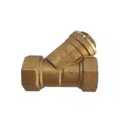 lọc y ren thao italy