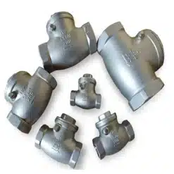 Van một chiều ren inox CF8M van một chiều ren inox CF8M(2)