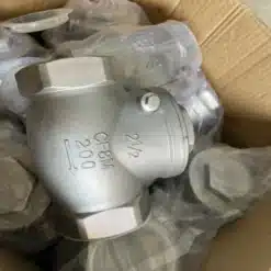 Van một chiều ren inox CF8M van một chiều ren inox CF8M(3)