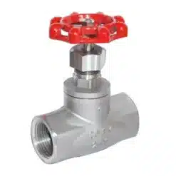 Van cầu ren inox CF8M(1).jpg