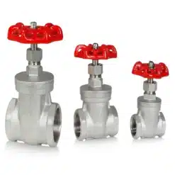 Van cổng ren inox CF8M Van cổng ren inox CF8M(1)