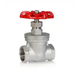 Van cổng ren inox CF8M(2)