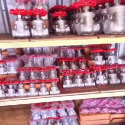 Van cổng ren inox CF8M Van cổng ren inox CF8M(3)