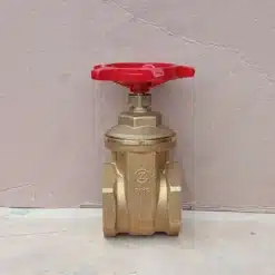 van cua ren giacomini 1