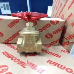 van cua ren giacomini 3